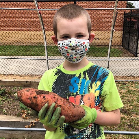  boy holding a sweet potato